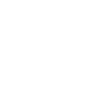 Rising bars chart and dollar sign icon