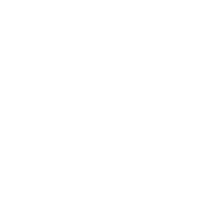 Briefcase and charts icon